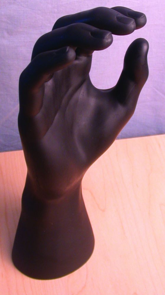 Right Hand Glove Display