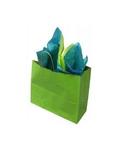 Apple Green Kraft Paper Shopping Bag- Small