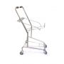 Grey Double Tier Shopping Cart thumbnail