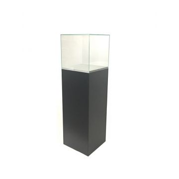 tall pedestal display case