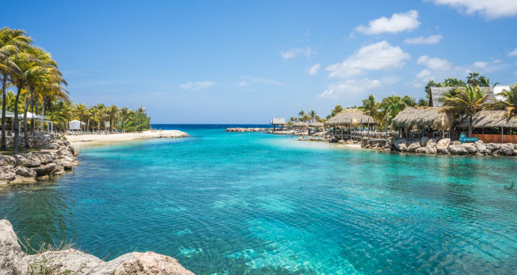 Display Cases in the Netherlands Antilles